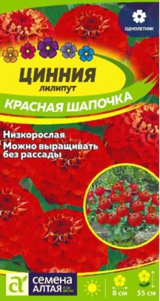 Цинния Красная шапочка лилипут 03г Одн 55см (Сем Алт)