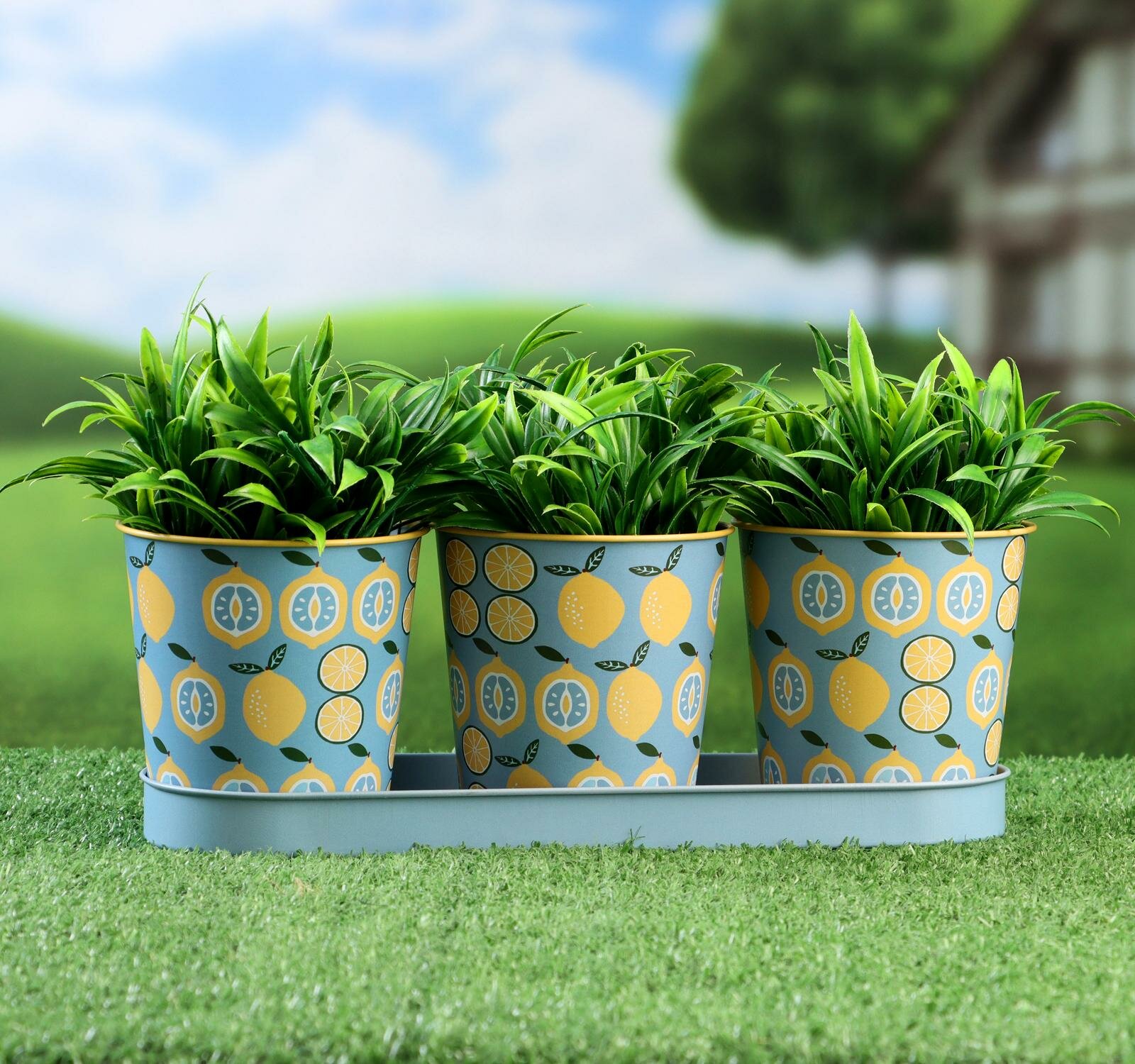 фото Набор кашпо на подставке "Ведерко" лимоны, 29х10х10см