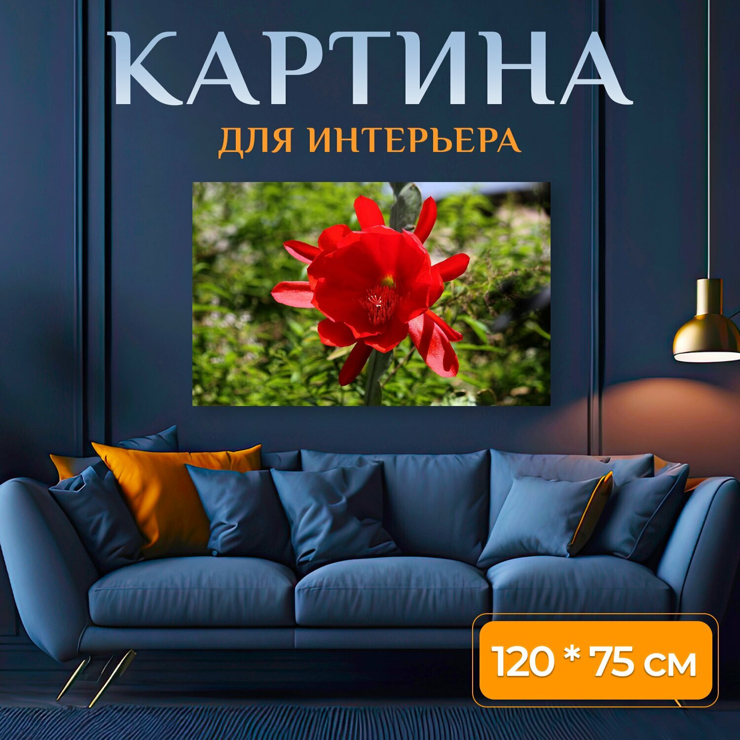 Картина на холсте "Цветок, красный, жизнь" на подрамнике 120х75 см. для интерьера