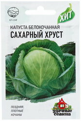 Семена Капуста белокочанная "Сахарный хруст" ранняя, 0.1 г серия ХИТ х3