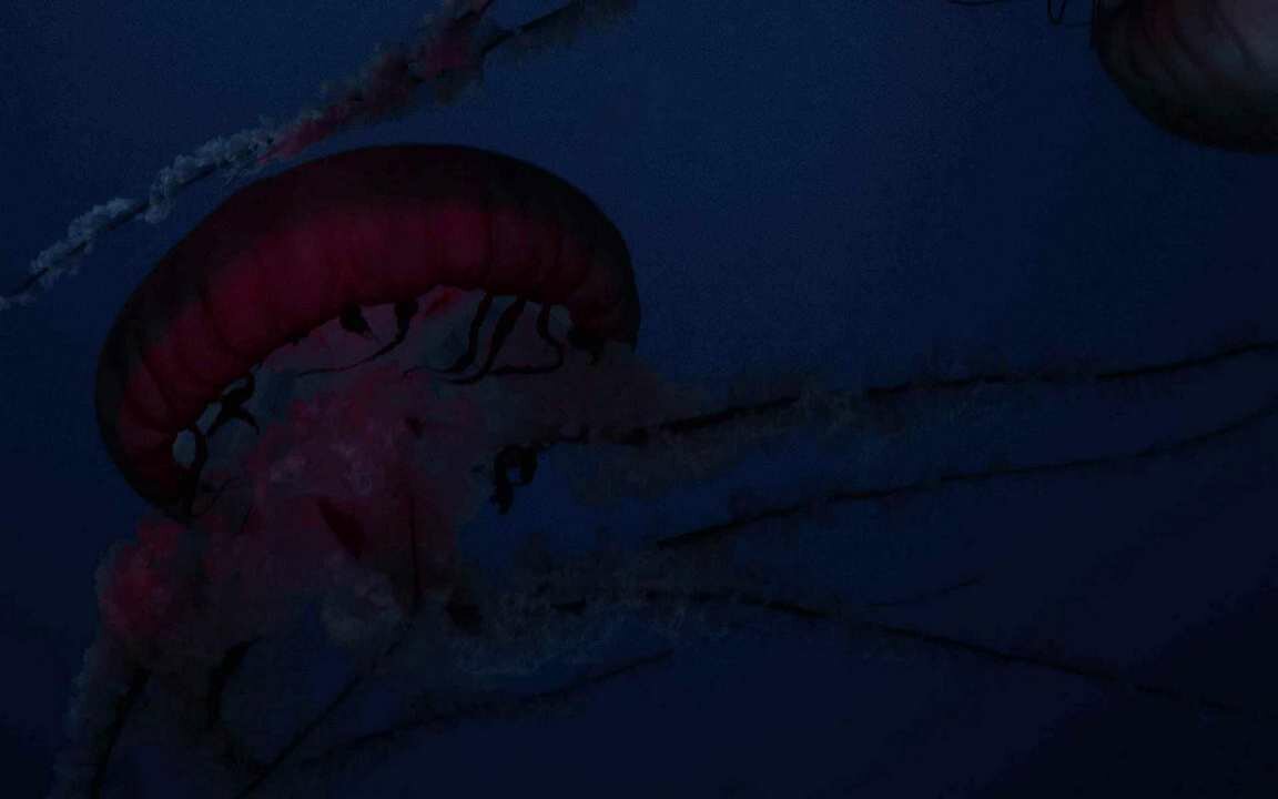 фото Картина на холсте 60x110 Альянс Лес "Медузы, щупальца, существа, красный, под водой" на подрамнике / интерьер/ декор