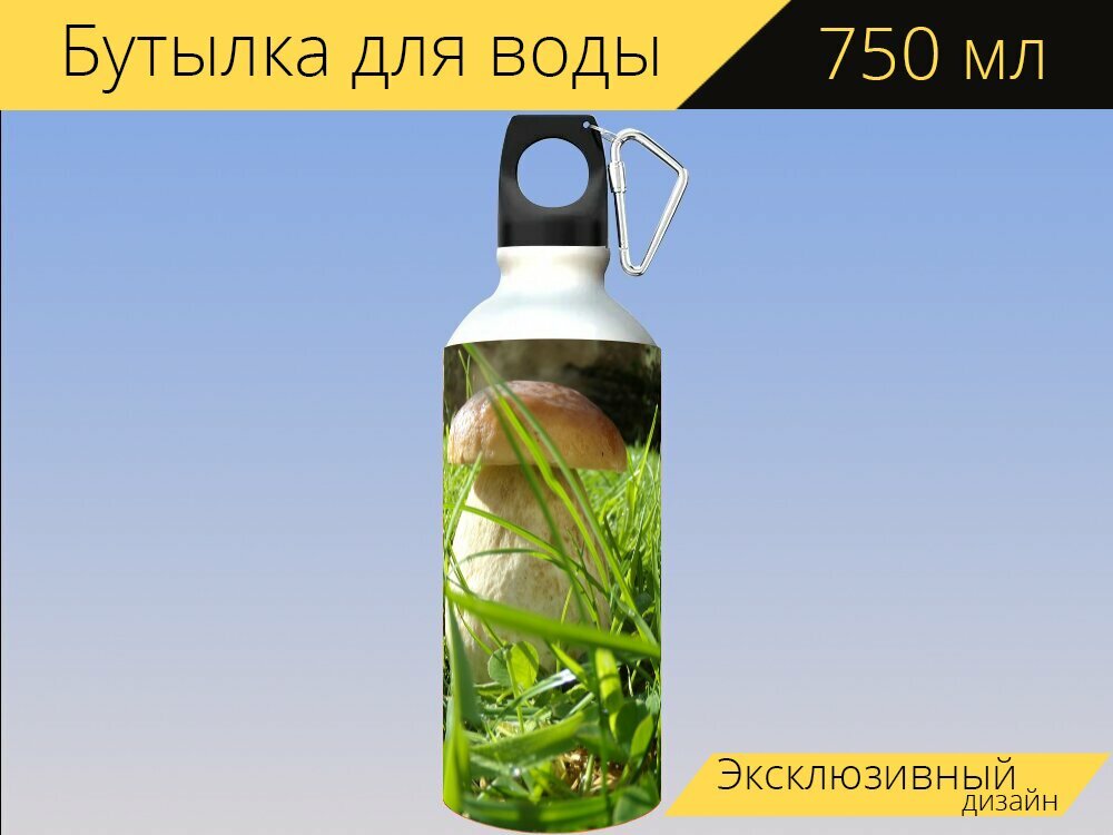 Бутылка фляга для воды "Белые грибы, грибы, природа" 750 мл. с карабином и принтом