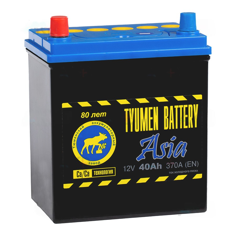 Автомобильный аккумулятор TYUMEN Battery Asia 40.1 Ач L+ EN370A (187x128x223) тонк. клеммы