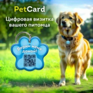 Цифровая визитка/адресник PetCard для собак и кошек с QR-кодом и NFC синий