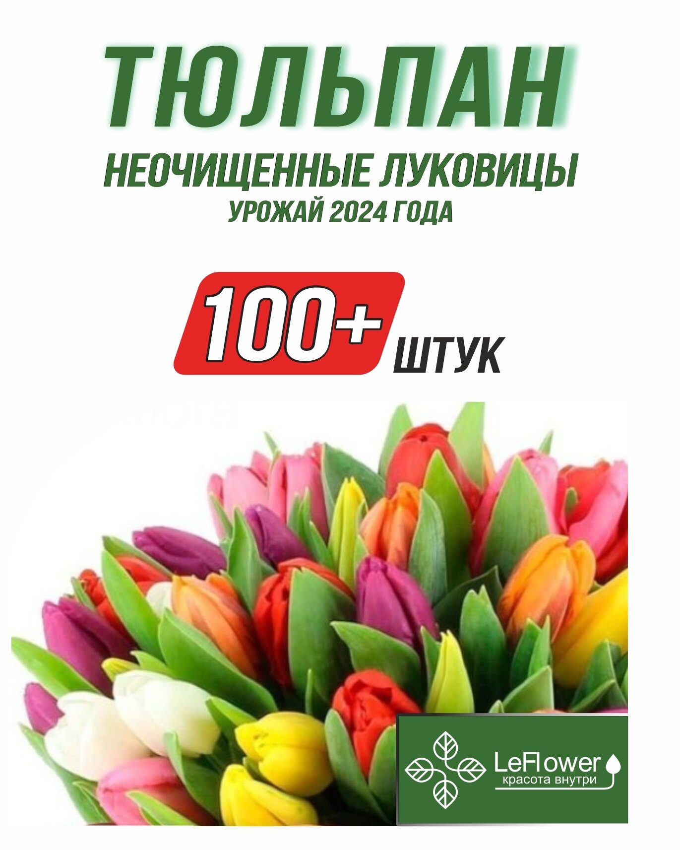 Тюльпан Луковицы неочищенные Микс сортов 100шт+