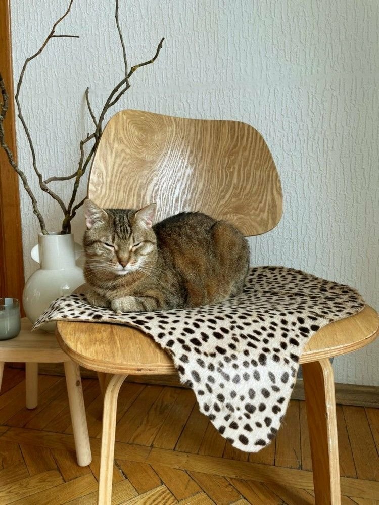 фото Декоративный коврик экзотика леопардовый, 50x90 см