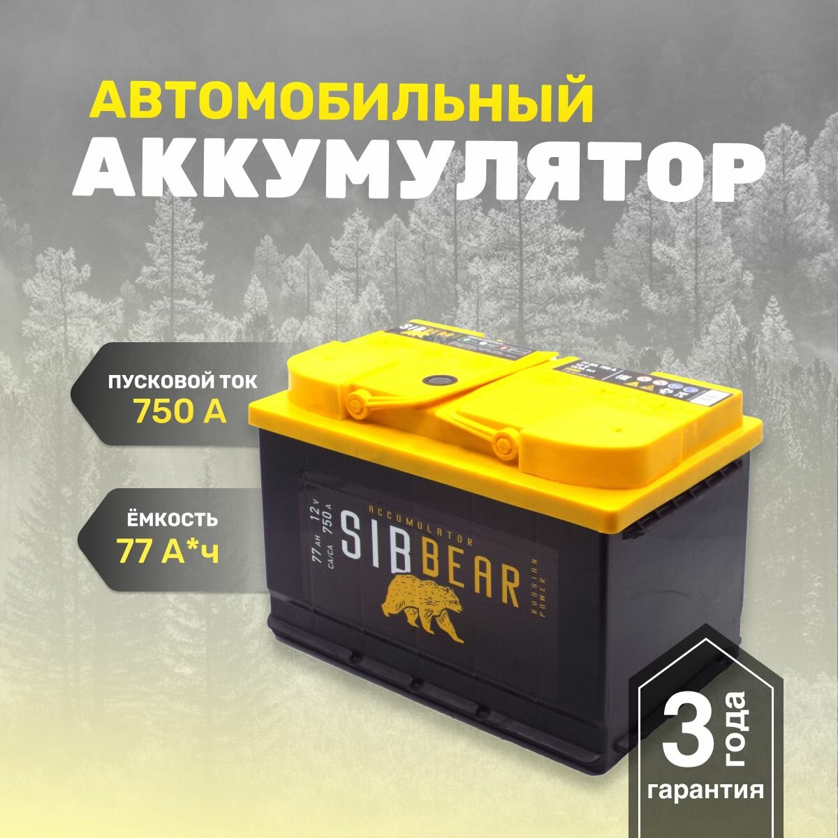 Аккумулятор SIBBEAR 77 Ач о. п.