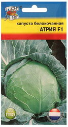 Семена Капуста белокочаная "Атрия", F1, 0.05 гр