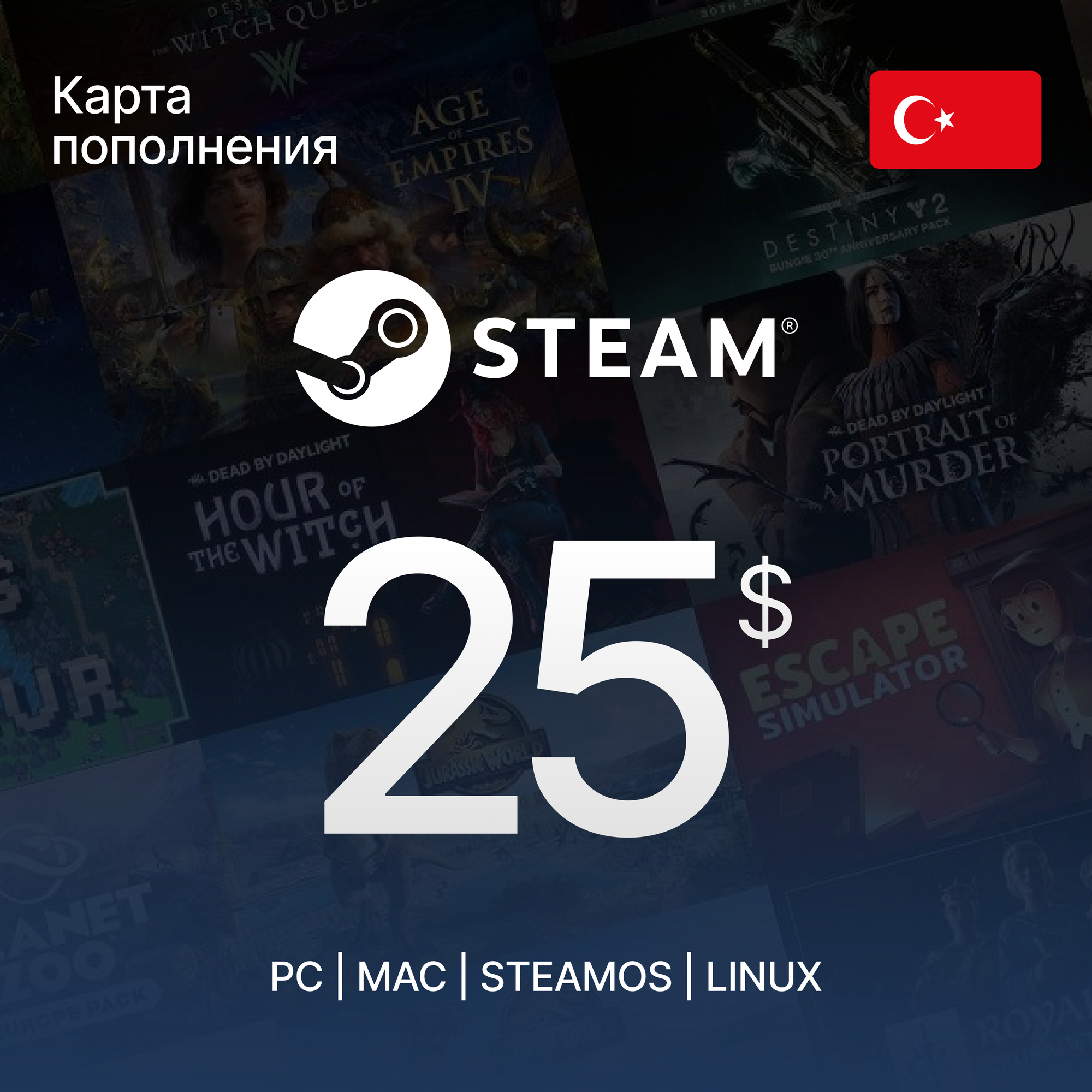 Пополнение счета игровой валютой Steam 100 US Турция / Цифровой код / Gift Card