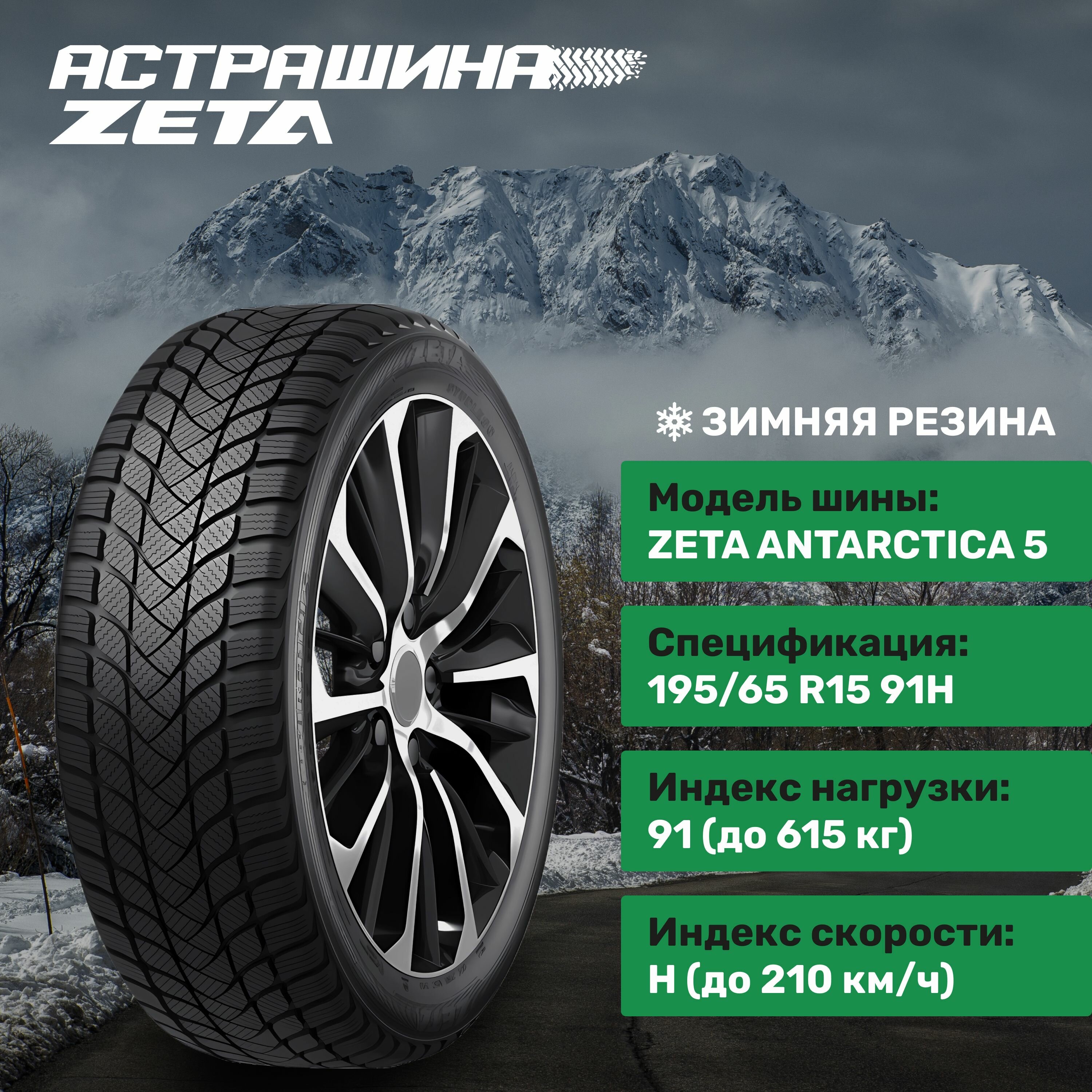 ZETA Antarctica 5 195/65R15 91H