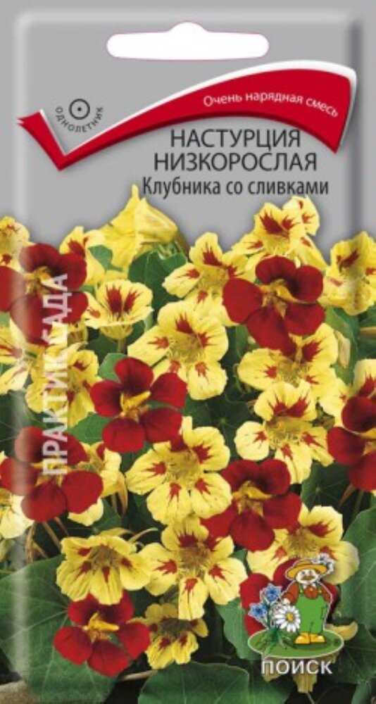 Настурция Клубника со сливками низкорослая 1г Одн 30см (Поиск)