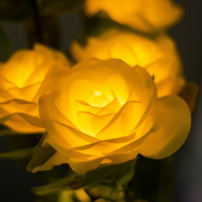 Ночник "Розы" 5хLED 4000К желтый 20х20х50см - фотография № 4