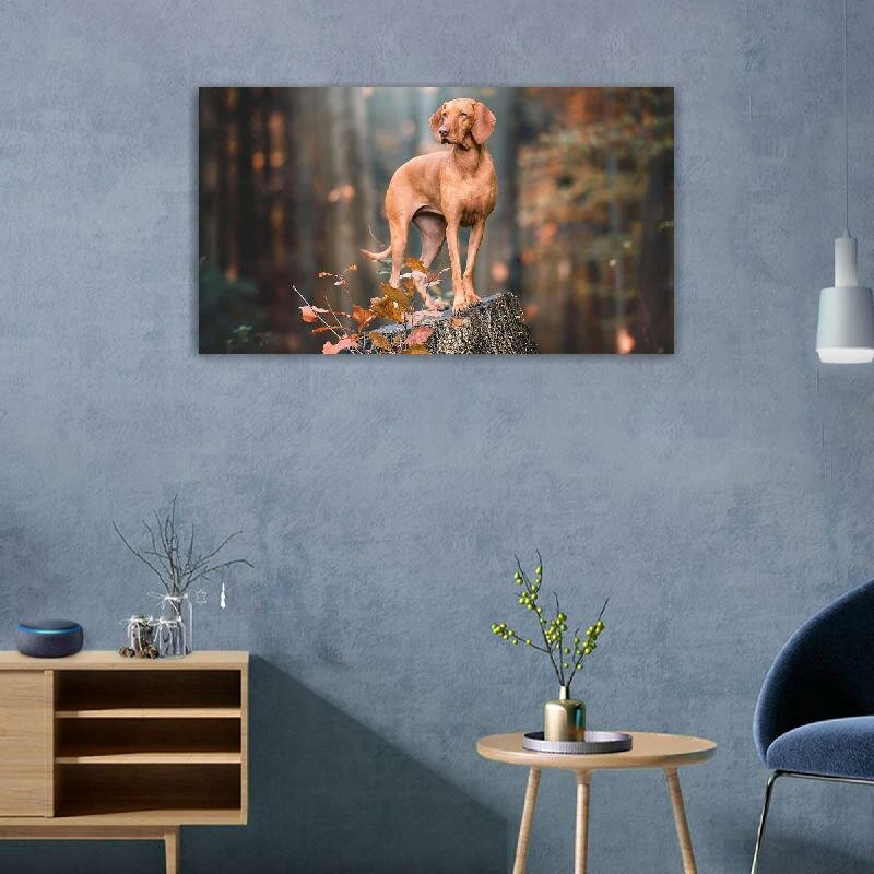 Картина на холсте 60x110 Альянс Лес "Осень поза коричневая собака" на подрамнике / интерьер/ декор