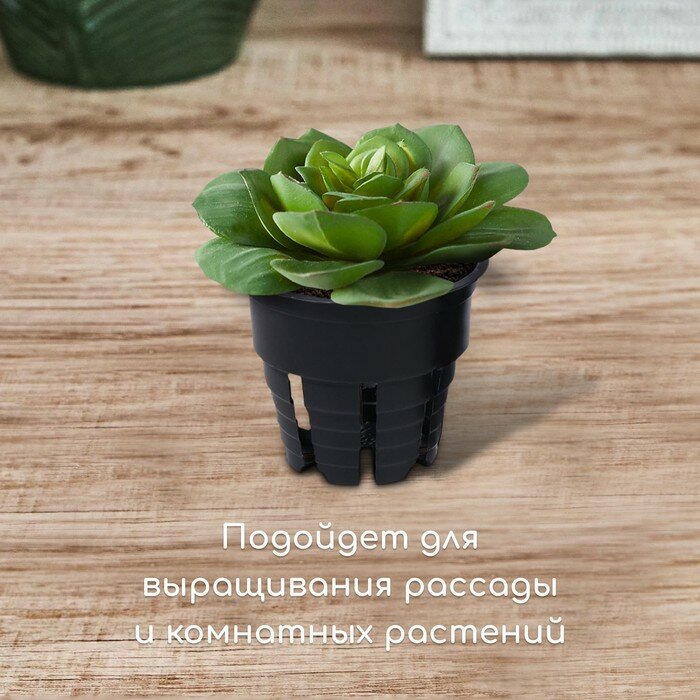 Горшок для рассады, 80 мл, 6 × 6 × 5.5 см, чёрный, Greengo - фотография № 3