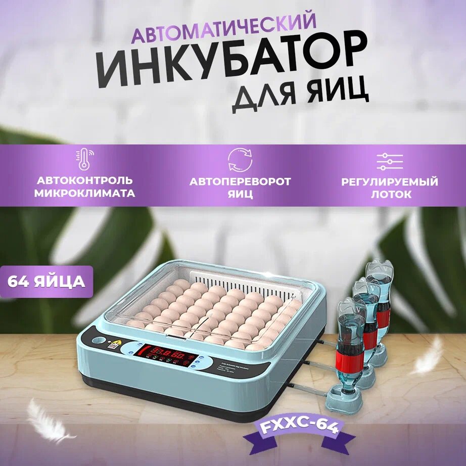 Инкубатор для яиц FXXC-64 автоматический 64 яйца