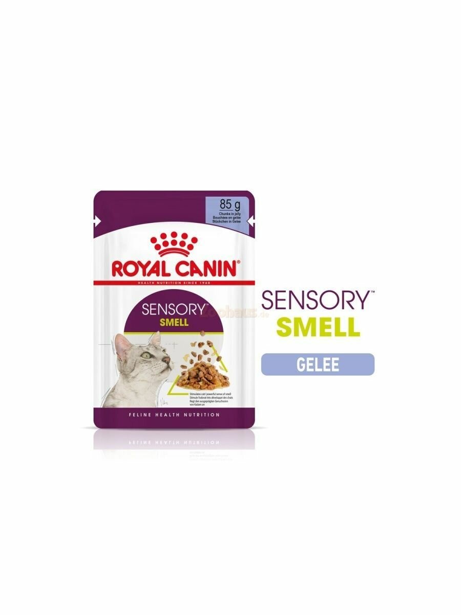 Royal Canin Sensory Smell Влажный корм для взрослых кошек, стимулирующие обонятельные рецепторы, кусочки в желе 85г