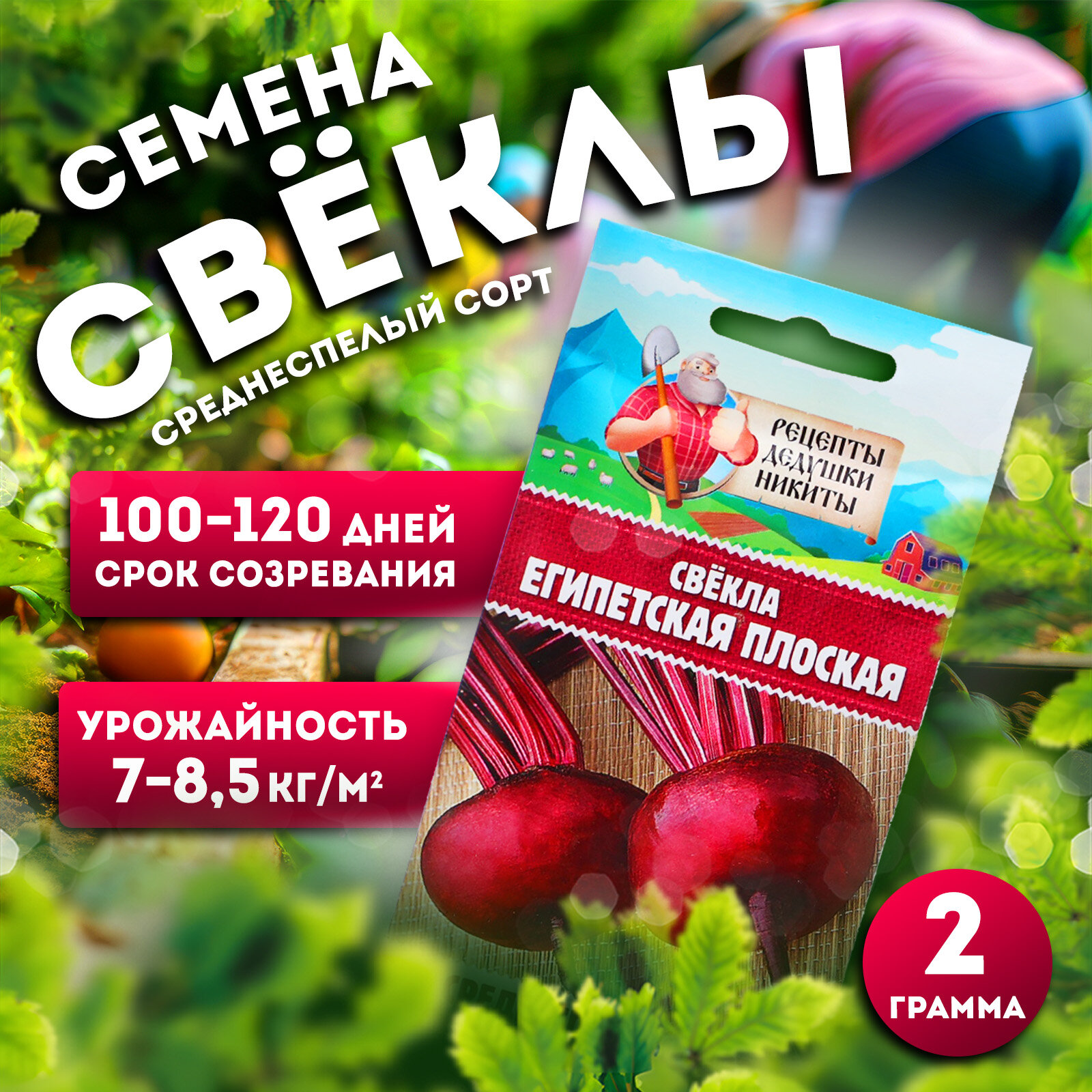 Семена свёклы 