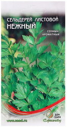Семена Сельдерей "Нежный" листовой, 1600 шт