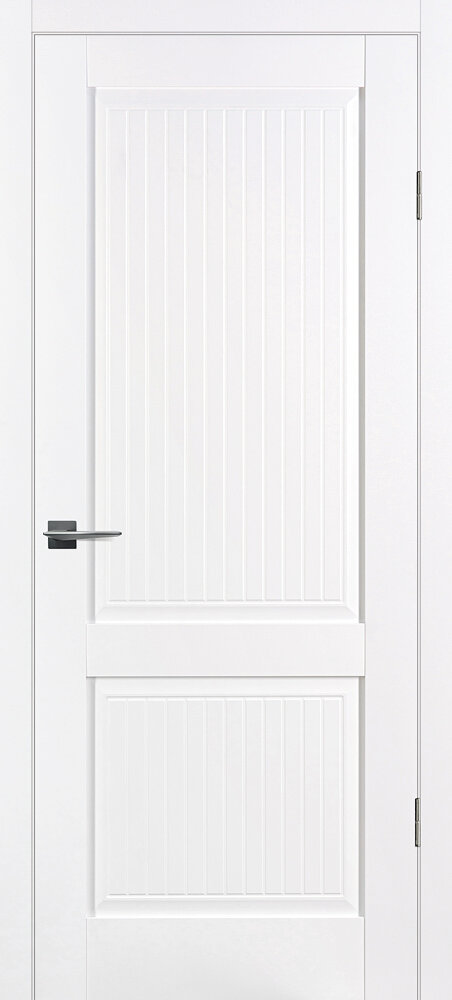 Раменские двери, PSC-58 ДГ, Белый 2000*800 (полотно)