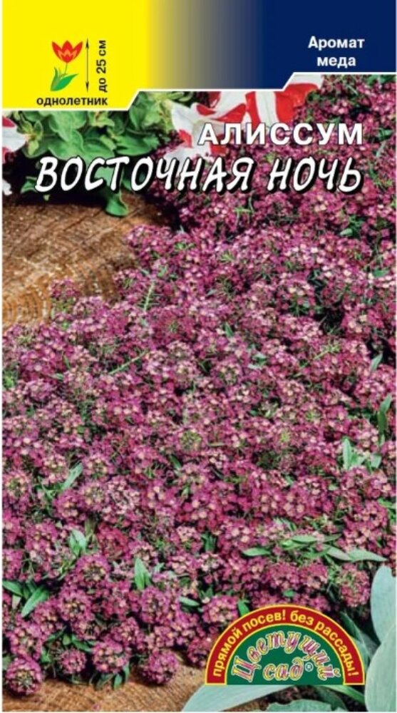 Алиссум Восточная ночь 0.05г Одн 25см (Цвет сад)