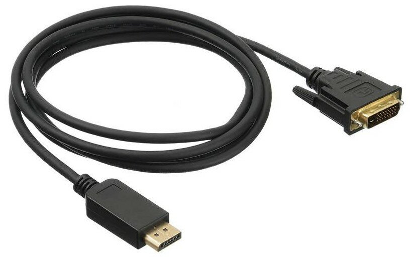 Кабель аудио-видео BURO 1.1v, DisplayPort (m) - DVI-D (Dual Link) (m) , 2м, GOLD черный [bhp dpp_dvi-2] - фото №1