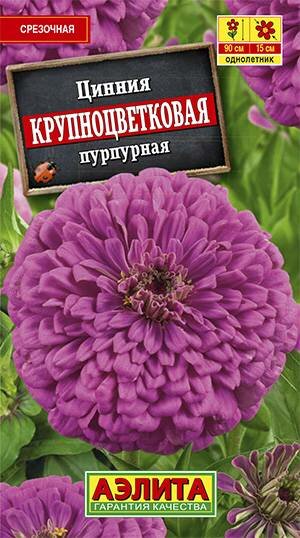 Цинния Крупноцветковая Пурпурная 0.3г Одн 90см (Аэлита)