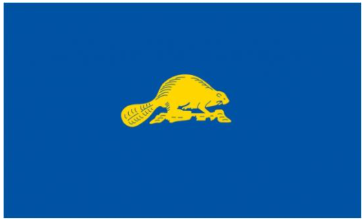 Флаг штата Орегон (США) 90х135 см