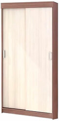 Андрей-Эконом (евро) шкаф-купе (1000*2100*416 мм) (ясень шимо темный/ясень шимо светлый)