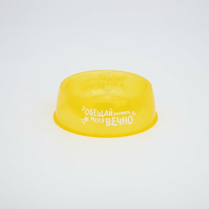фото Миска пластиковая «Обещай кормить меня вечно», 300 мл, желтый, 2 штуки