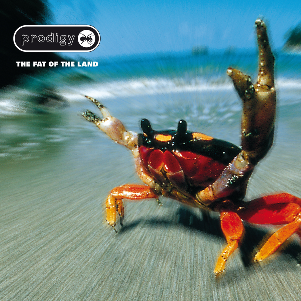 The Prodigy ‎– The Fat Of The Land