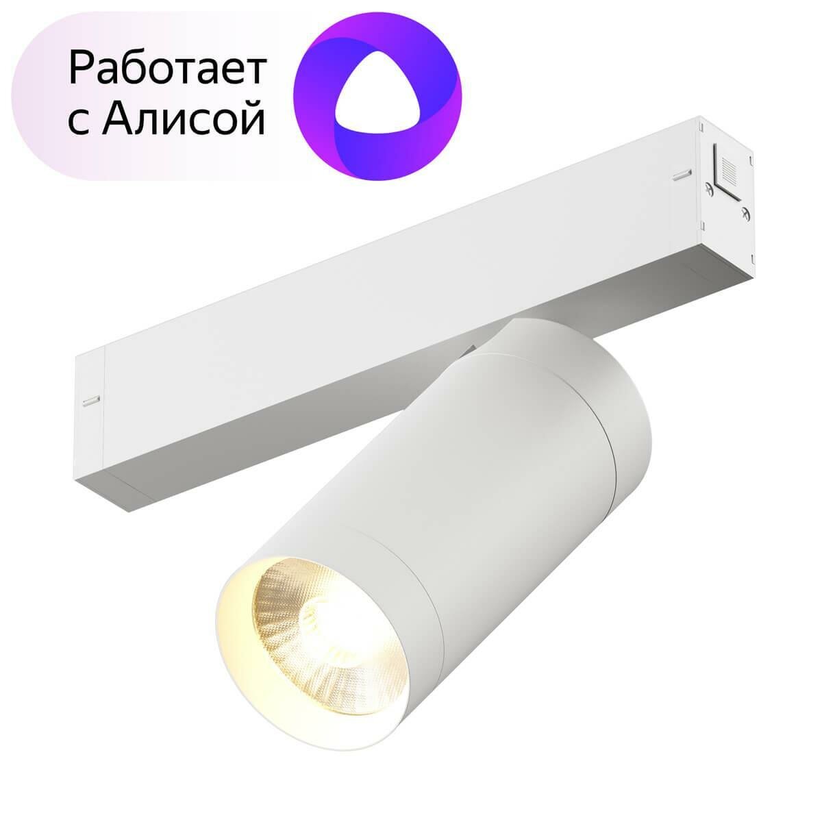 Трековый светильник Denkirs DK8020-WH - фото №1