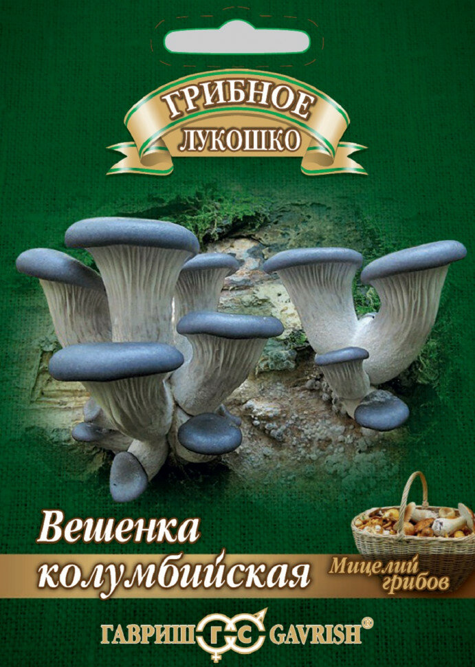 Мицелий Вешенка Колумбийская на древесной палочке 12шт Гавриш 2 пакетика