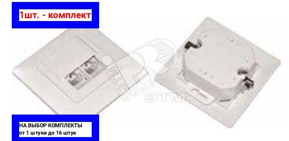 фото 1шт. - Розетка информационная скрытая RJ45 (8P8C) категория 5е UTP IDC Dual 2 порта белая / ITK; арт. CS2-1C5EU-21; оригинал / - цᴇʜᴀ зᴀ 1шт