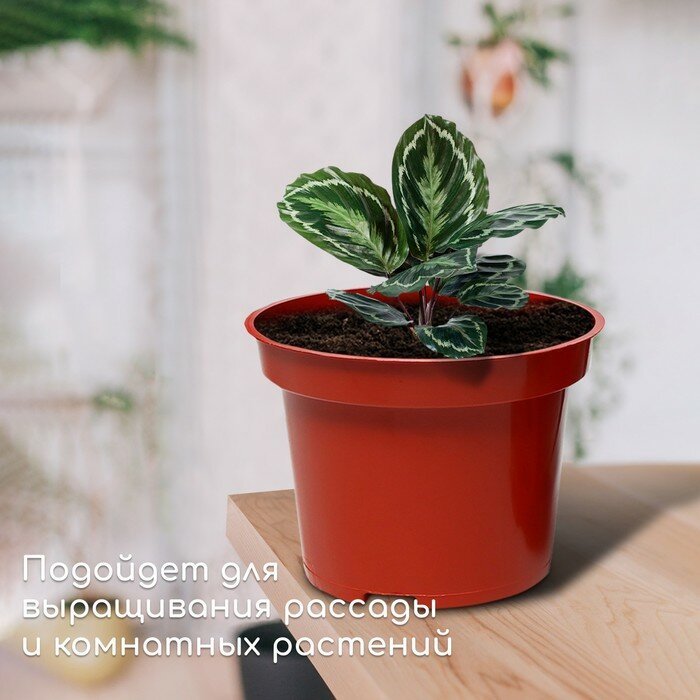 Горшок для рассады, 7,5 л, d = 25,5 см, h = 20,5 см, терракот, Greengo - фотография № 3