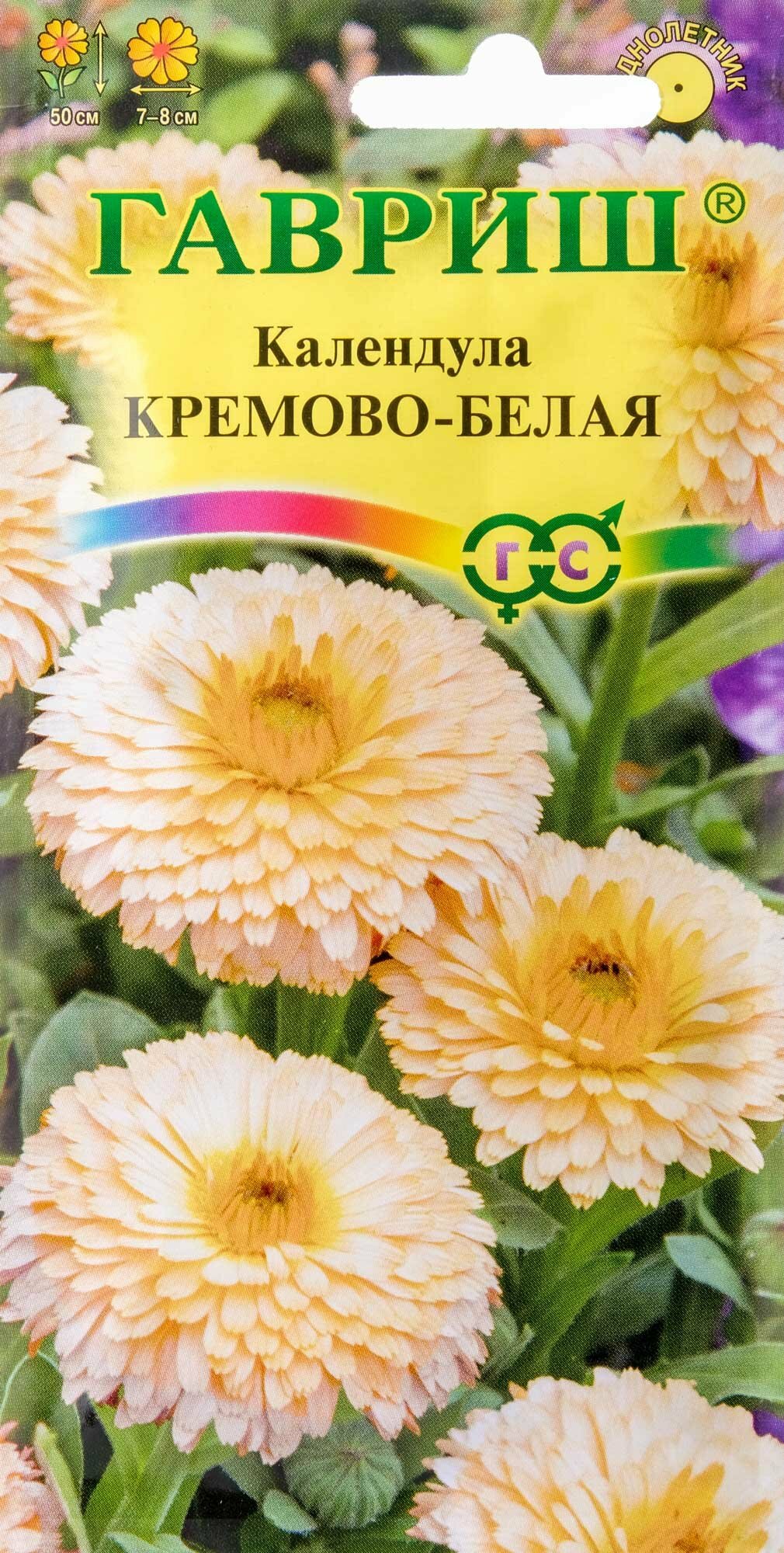 Семена Календула Кремово-белая