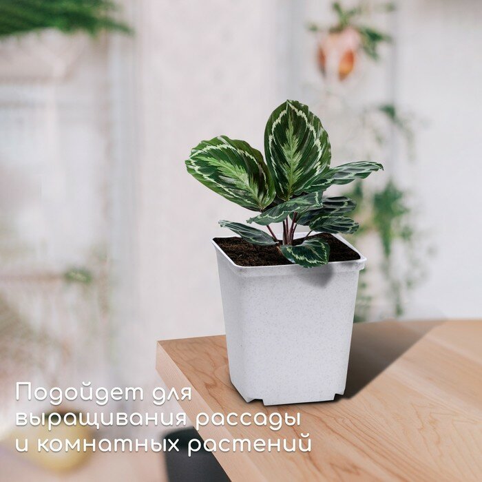 Горшок для рассады, 1 л, d = 11 см, h = 12 см, белый - фотография № 3