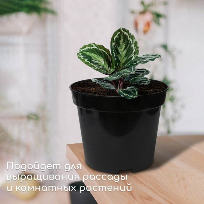 Горшок для рассады, 7.5 л, d = 26 см, h = 26 см, чёрный, Greengo - фотография № 3