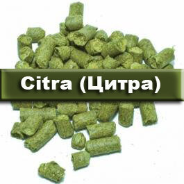 Хмель Цитра (Citra) 100 гр