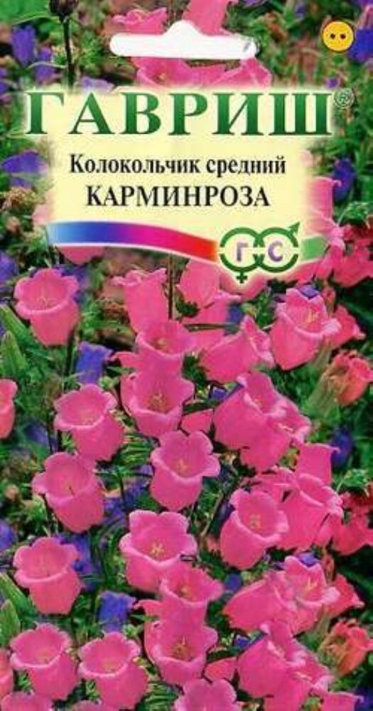 Колокольчик Карминроза 01г (Гавриш)