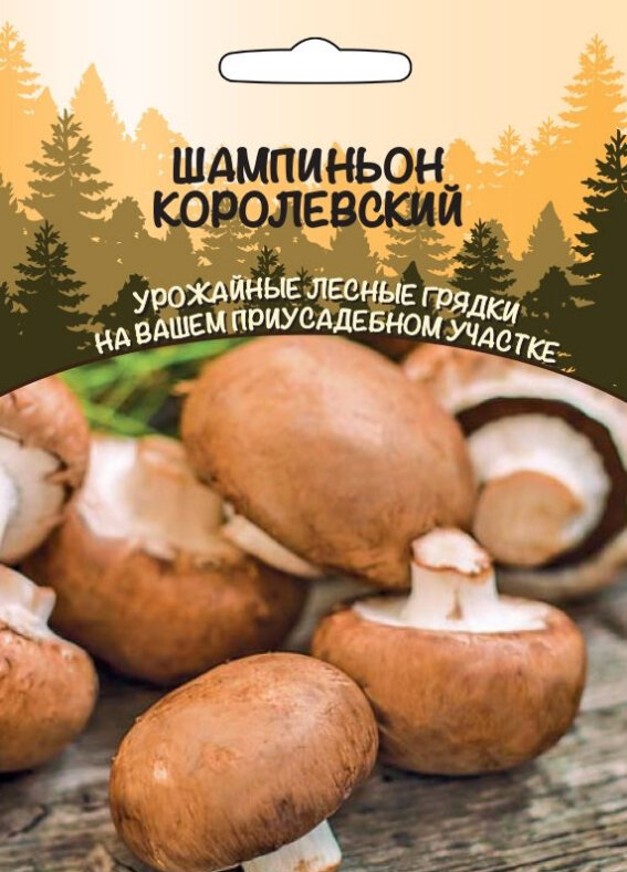 грибы Шампиньон Королевский (Урал. Дачник)