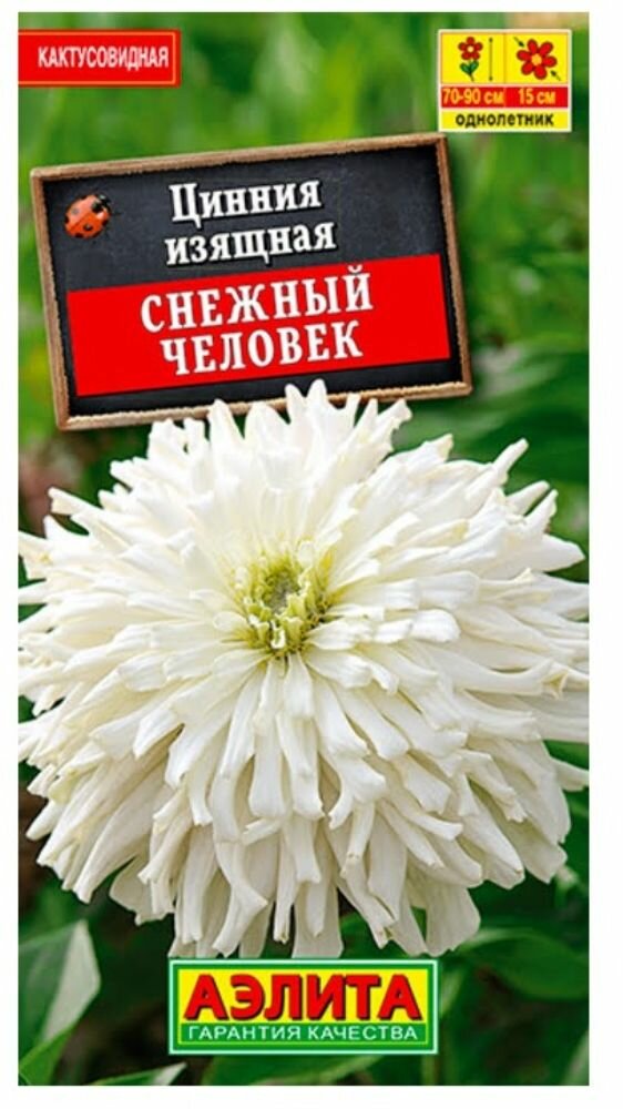 Цинния Снежный человек кактусовидная 02г Одн 90см (Аэлита)