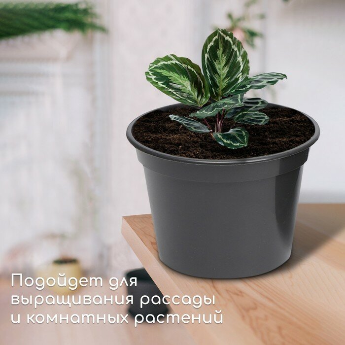 Горшок для рассады, 20 л, d = 35,5 см, h = 30,5 см, чёрный, Greengo - фотография № 3