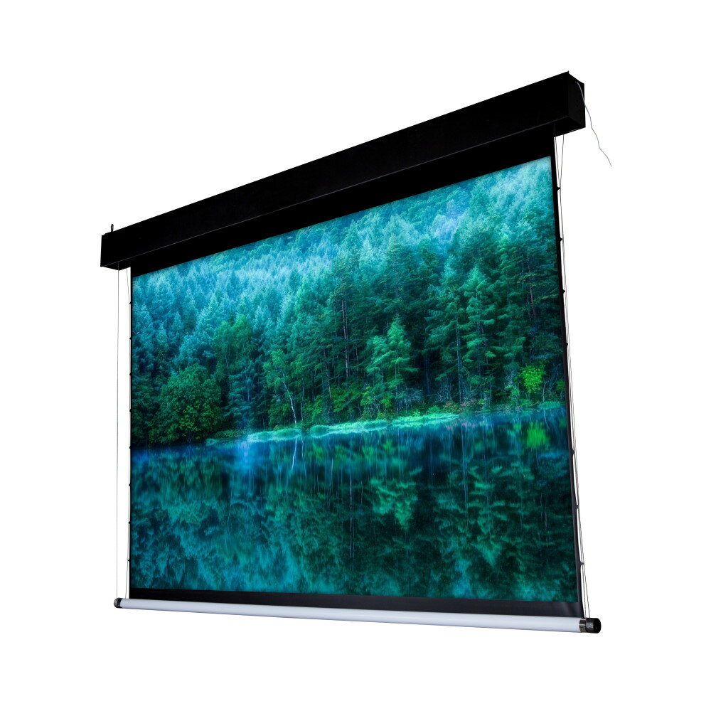 ViewScreen Antis Pro (16:10) 658*434 (646*404) Soft MW - Экран моторизированный