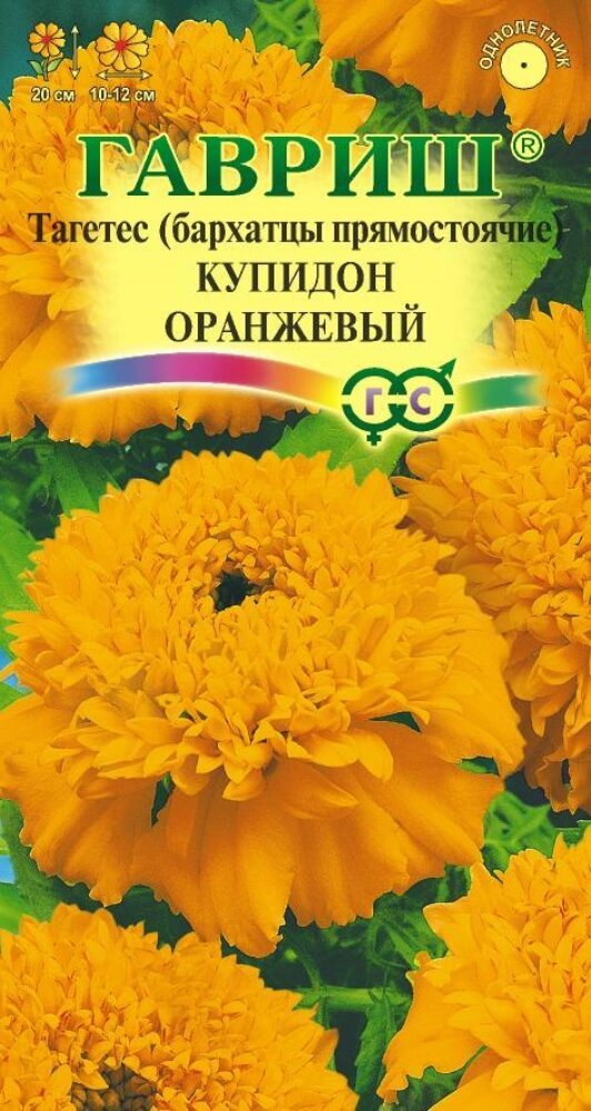 Бархатцы пр. Купидон оранжевый 005г 20см (Гавриш)