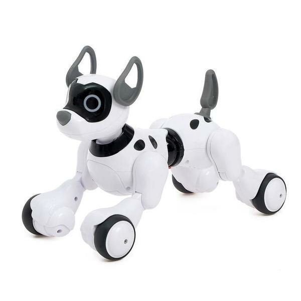 Робот-собака, радиоуправляемый Koddy, световые и звуковые эффекты, русская озвучка 4376315 .