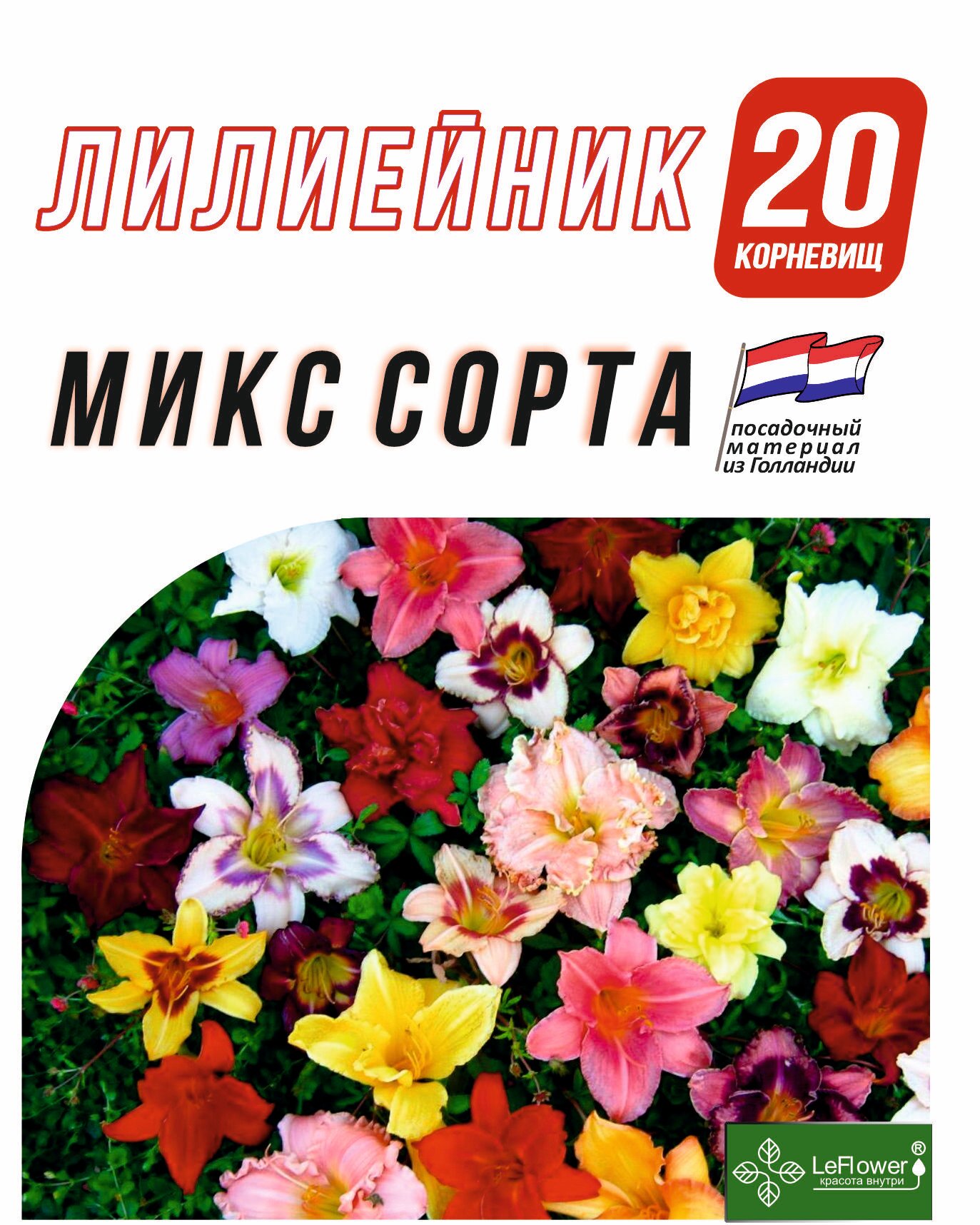 Лилейник Корневище микс сорта 20 шт