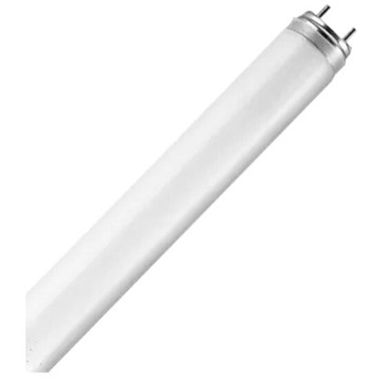 Лампа люминесцентная Ledvance-osram OSRAM-СМ new L36W/ 830 LUMILUX G13 d26x1200mm 3350lm 3000K - лампа