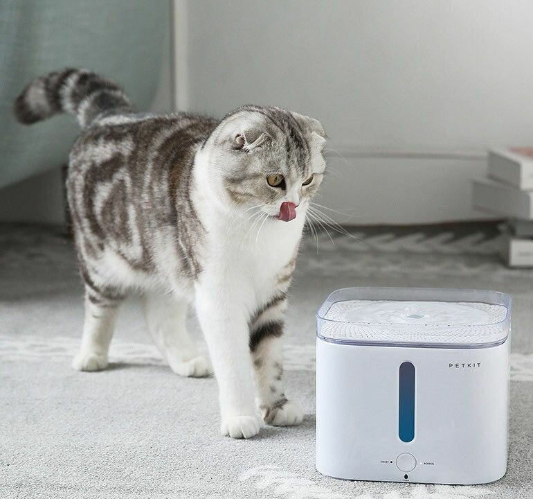 Умная автоматическая поилка Xiaomi Smart Pet Fountain, 2 л, Wi-Fi - фотография № 10