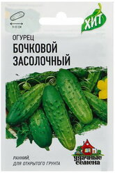 Семена Огурец "Бочковой" засолочный, среднеранний, пчелоопыляемый, 0.3 г серия ХИТ х3
