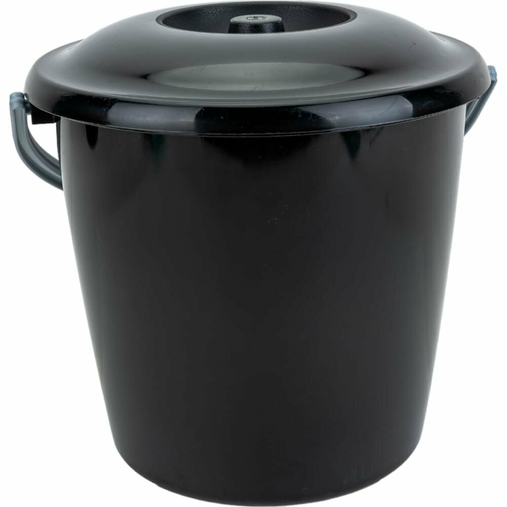 фото Martika Ведро Соло хозяйственное 10л с крышкой С462К